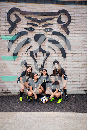 SPRING_WOODS_GSOC_Amanda Ocampo, Andrea Gallegos, Angelica Rubio, Ciara Casco, Laura Flores-(WRIGHT)-4