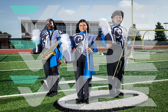 ELSIK_BAND_7779-(WRIGHT)