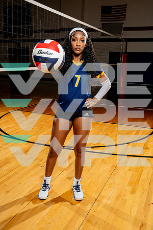 NIMITZ_VB-(COLLIER)-17