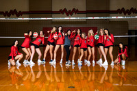 0F9A0264-WOODLANDS_VOLLEYBALL-(BROWN)