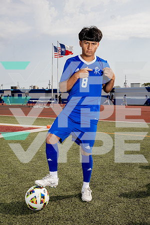 ALDINE_SOC-(BROWN)-610