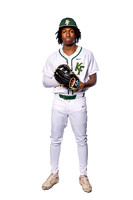 KLEIN_FORREST_BSBL-(BROWN)-00002276_(2)
