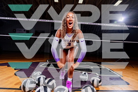 WILLIS_VB-(COLLIER)-17