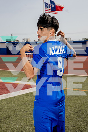 ALDINE_SOC-(BROWN)-605