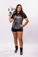TERRY_GSOC_-(BROWN)-069