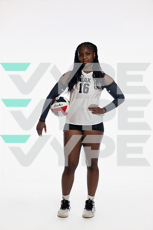 KLEIN OAK_VB-(COLLIER)-68