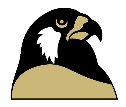 Foster Falcons Logo