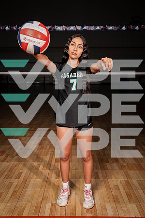 PASADENA_VB_0F9A8000-(BROWN)