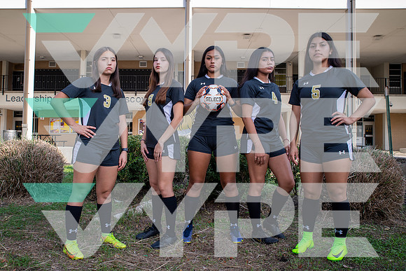 SPRING_WOODS_GSOC)_TEAM_Amanda Ocampo, Andrea Gallegos, Angelica Rubio, Ciara Casco, Laura Flores-(WRIGHT)