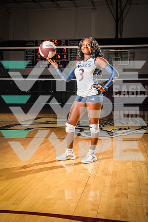 ROWLETT_VB_00159-(COLLIER)