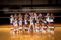 ROWLETT_VB_00033-(COLLIER)
