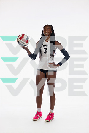 KLEIN OAK_VB-(COLLIER)-22