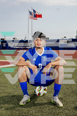 ALDINE_SOC-(BROWN)-606