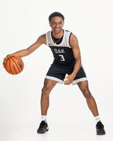 KLEIN OAK_BB-(COLLIER)-00650