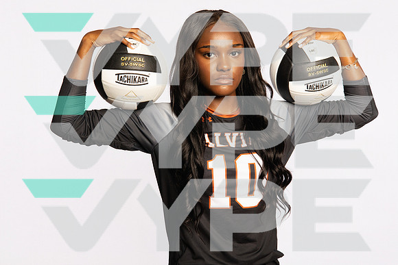 0F9A0735-ALVIN_VOLLEYBALL-(BROWN)