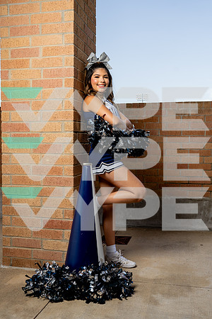 BRYAN_CHEER-(COLLIER)-13