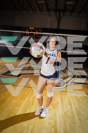 ROWLETT_VB_00128-(COLLIER)