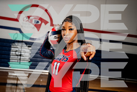 DAVIS_VB-(COLLIER)-6