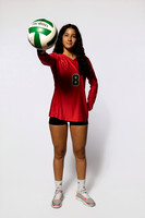 0F9A0133-WOODLANDS_VOLLEYBALL-(BROWN)