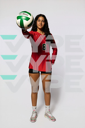0F9A0133-WOODLANDS_VOLLEYBALL-(BROWN)
