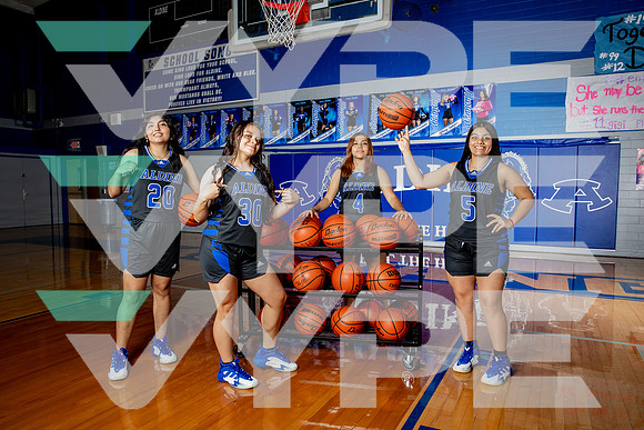 ALDINE_GBB-(BROWN)-346