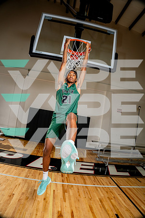 MAYDE CREEK_BB-(COLLIER)-01204