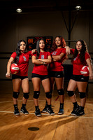 Volleyball