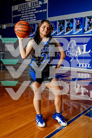 ALDINE_GBB-(BROWN)-356