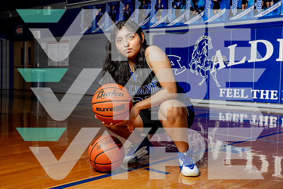 ALDINE_GBB-(BROWN)-403
