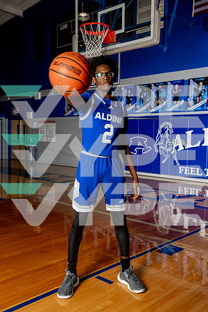 ALDINE_BB-(BROWN)-448