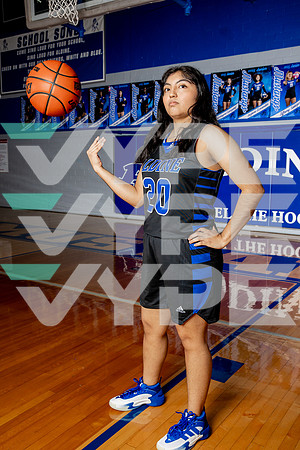 ALDINE_GBB-(BROWN)-408
