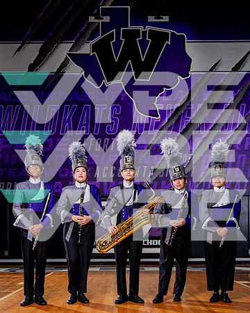 WILLIS_BAND-(COLLIER)-36