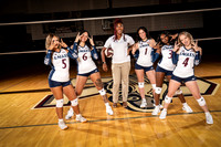 ROWLETT_VB_00061-(COLLIER)
