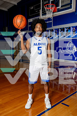 ALDINE_BB-(BROWN)-428