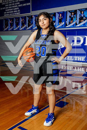 ALDINE_GBB-(BROWN)-411