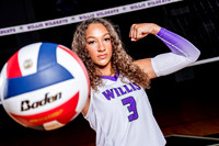 WILLIS_VB-(COLLIER)-14