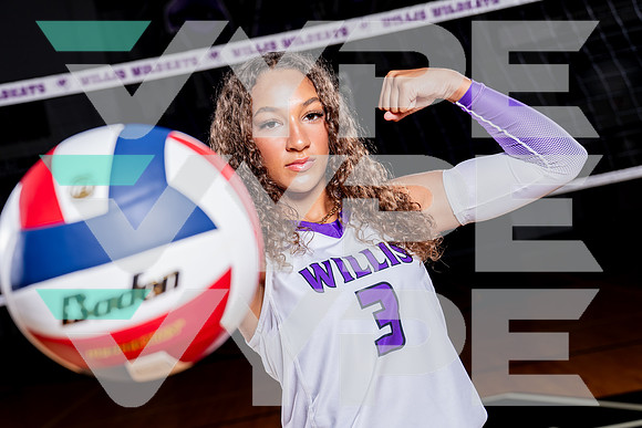 WILLIS_VB-(COLLIER)-14