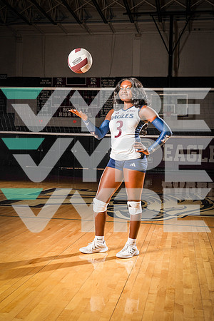 ROWLETT_VB_00158-(COLLIER)