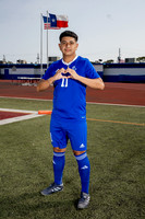 ALDINE_SOC-(BROWN)-588