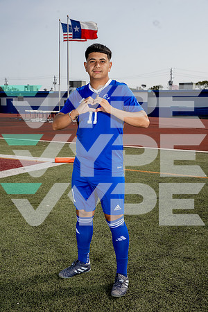 ALDINE_SOC-(BROWN)-588