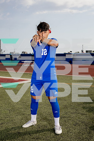 ALDINE_SOC-(BROWN)-581