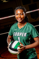 COOPER_VB-(COLLIER)-8