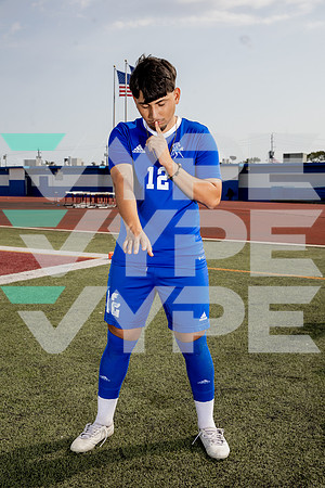 ALDINE_SOC-(BROWN)-583