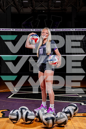 WILLIS_VB-(COLLIER)-32