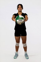PASADENA_VB_0008_(BROWN)