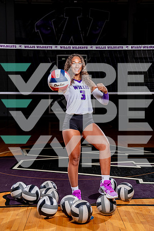 WILLIS_VB-(COLLIER)-13