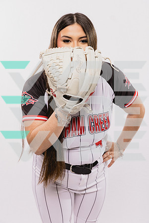 LANGHAM CREEK_SFBL-(BROWN)-181