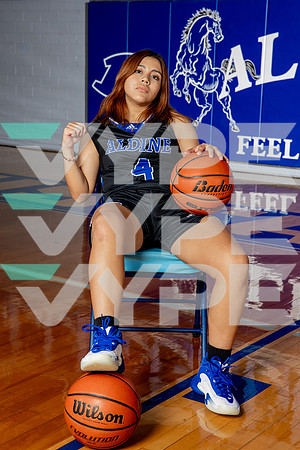 ALDINE_GBB-(BROWN)-412