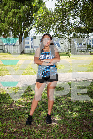 ELSIK_XC_8071-(WRIGHT)
