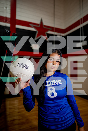 ALDINE_VB_09944-(DRISKILL)